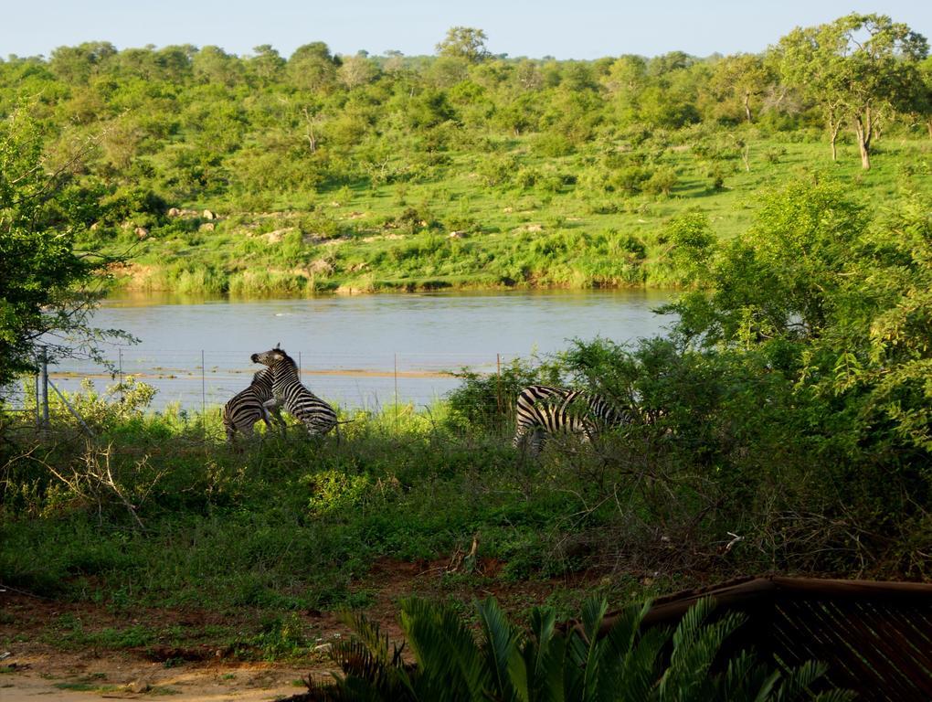 Villa Tau @ Kruger Marloth Park Zimmer foto