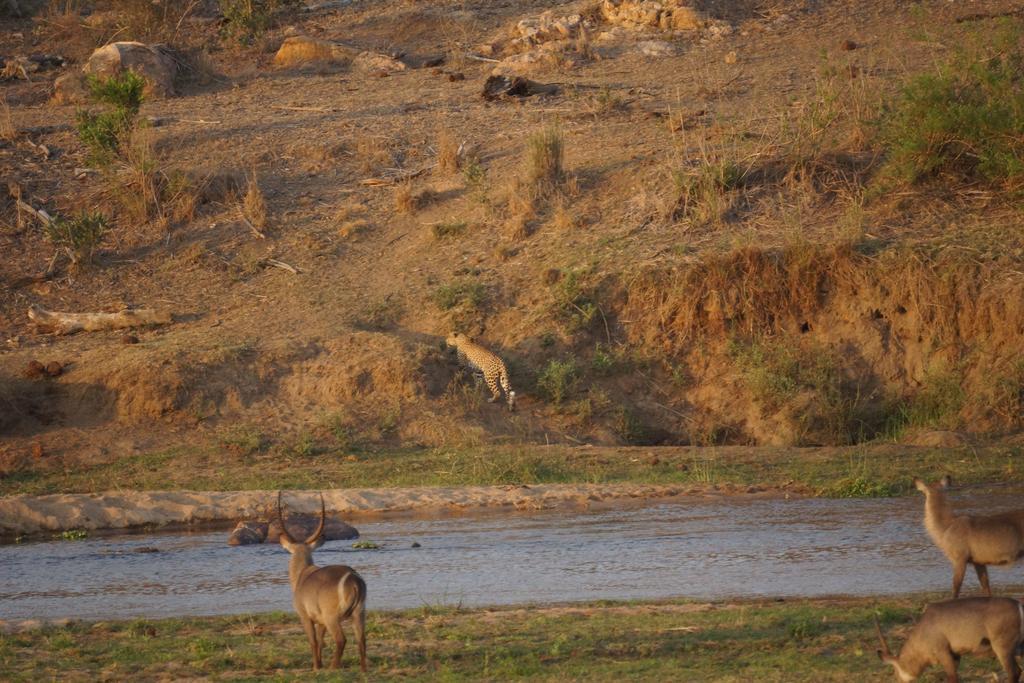 Villa Tau @ Kruger Marloth Park Exterior foto