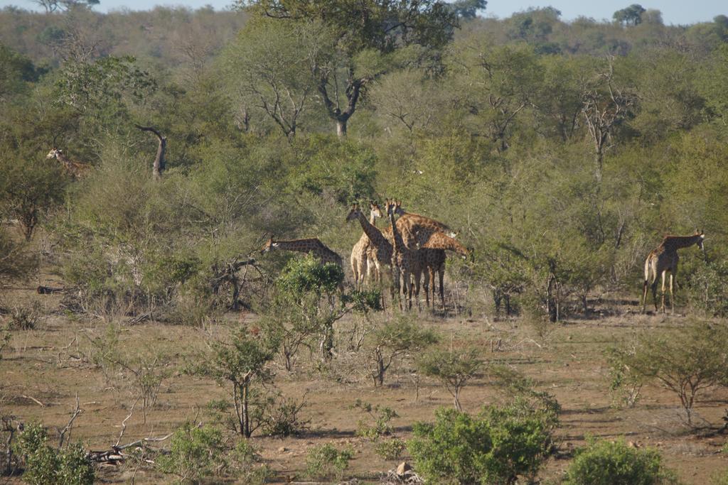 Villa Tau @ Kruger Marloth Park Exterior foto